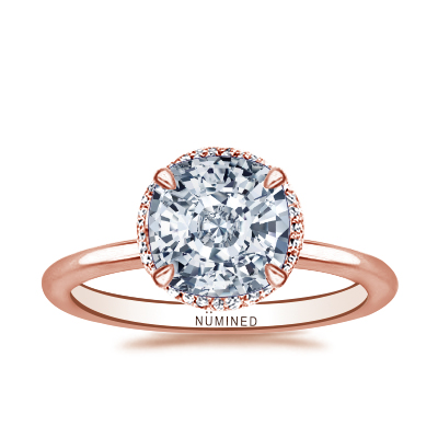Dina Belgian Pave Hidden Halo Engagement Ring