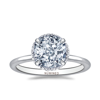 Dina Belgian Pave Hidden Halo Engagement Ring