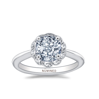 Arden Floral Halo Open Gallery Engagement Ring