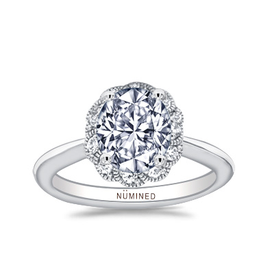 Arden Floral Halo Open Gallery Engagement Ring