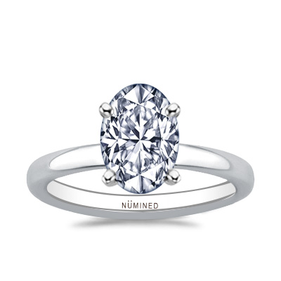 Allegra Raised Shoulders Solitaire Engagement Ring