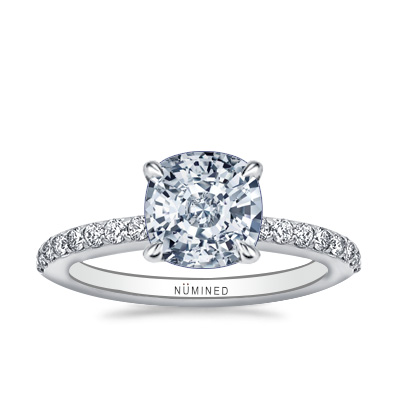 Hadlie Diamond Collar Pave Engagement Ring