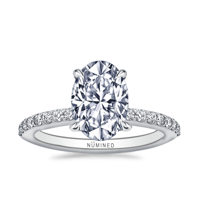 Hadlie Diamond Collar Pave Engagement Ring