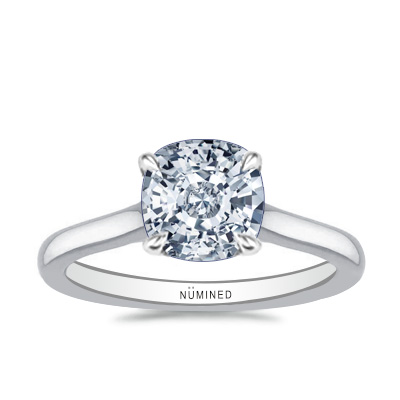 Carinna Unique Cathedral Solitaire Engagement Ring