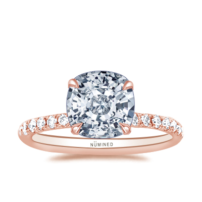 Haden French Pave Hidden Halo Engagement Ring