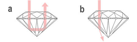 Diamond Cut Performance Light Path